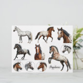 美しいアパルーサ馬のイラスト (スタンド正面)