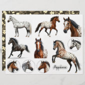 美しいアパルーサ馬のイラスト (正面/裏面)