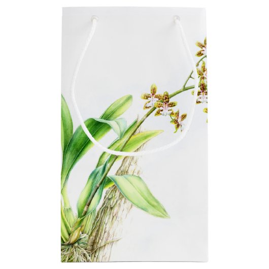 美しいアフターケア抱き枕グリーンオーキッドの水色 スモールペーパーバッグ (裏面)