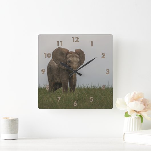 美しいアフリカのブッシュゾウ スクエア壁時計 (ホーム)