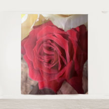 美しいアフリカレッドローズ