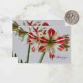 美しいアマリリスの花とカスタム文字の誕生日 ノートカード (正面/裏面インサイチュ)