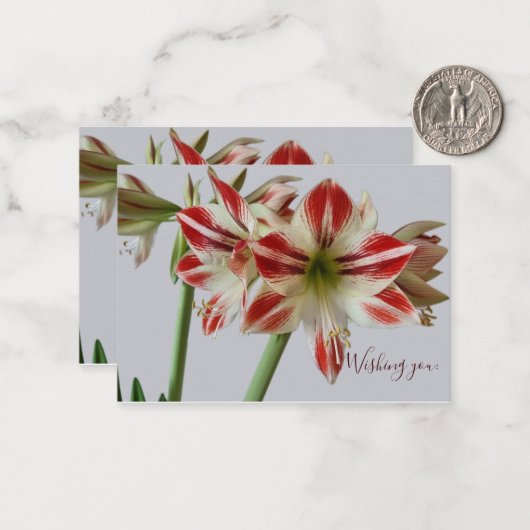 美しいアマリリスの花とカスタム文字の誕生日 ノートカード (正面/裏面インサイチュ)