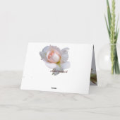 美しいアマリリス & オーダーメイド テキスト 誕生日 カード (裏面)