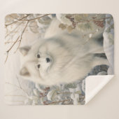 美しいアメリカのエスキモー犬 シェルパブランケット (正面(横))