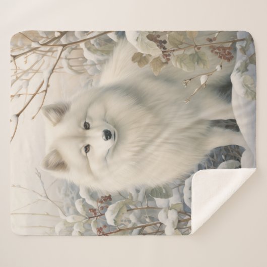 美しいアメリカのエスキモー犬 シェルパブランケット (正面(横))