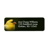 美しいアメリカの金魚のソングバード ラベル (正面)