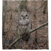 美しいアメリカフクロウのプリントのシャワー・カーテン シャワーカーテン (正面)