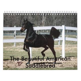 美しいアメリカ人Saddlebred カレンダー