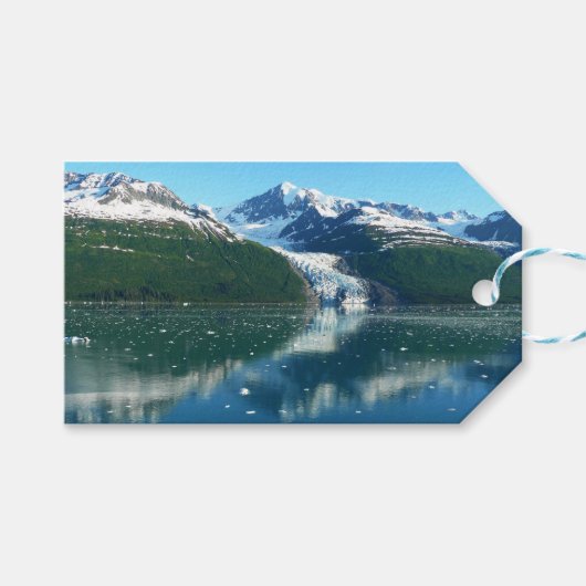 美しいアラスカの写真:カレッジ氷河峡湾 I ギフトタグ (正面(横))
