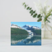 美しいアラスカの写真: カレッジ氷河湾 I (スタンド正面)