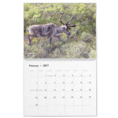 美しいアラスカの風景と野生生物の写真 カレンダー (2月 2027)