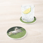 美しいアラビアのロバのコースター- 2 コースター (側面)