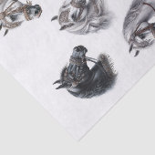 美しいアラビアファンシー馬 薄葉紙 (詳細)