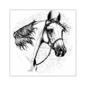 美しいアラビア馬ウマ科の頭ポートレート ラバースタンプ (インプリント)