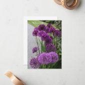 美しいアリウム ノートカード (正面/裏面インサイチュ)