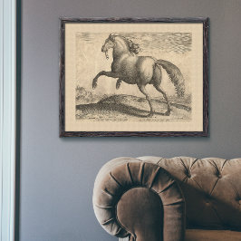 美しいアンティークスペインのスタリオンエレガント ポスター