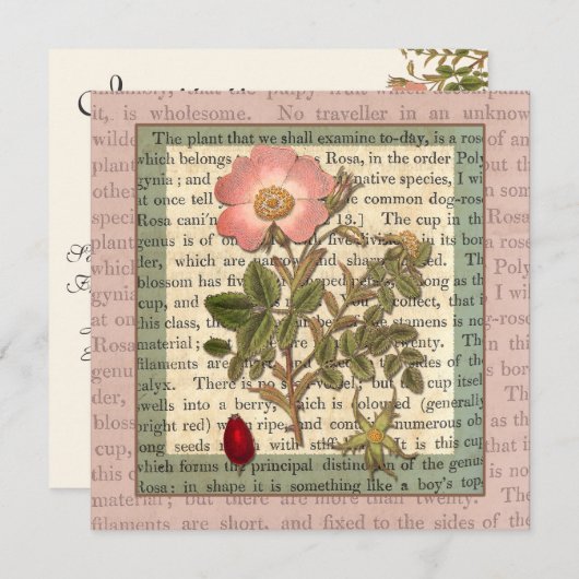 美しいアンティークバラガーデンパーティーヴィンテージ 招待状 (正面/裏面)