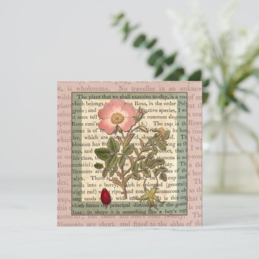 美しいアンティークバラガーデンパーティーヴィンテージ 招待状 (スタンド正面)