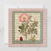 美しいアンティークバラガーデンパーティーヴィンテージ 招待状 (正面)