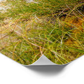 美しいイエローストーン国立公園、統一された州 ポスター (角)