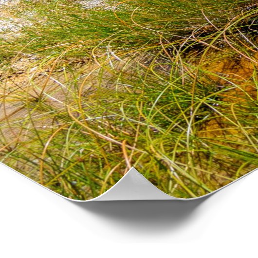 美しいイエローストーン国立公園、統一された州 ポスター (角)