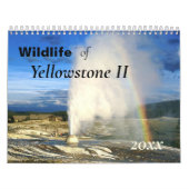 美しいイエローストーン野生動物カレンダー カレンダー (カバー)