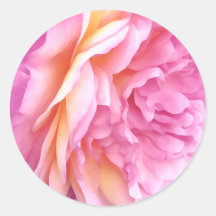 美しいイギリスのバラの花のステッカー