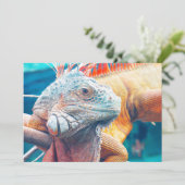 美しいイグアナフラットカード (スタンド正面)