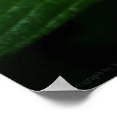 美しいインスターズプリント ポスター (角)