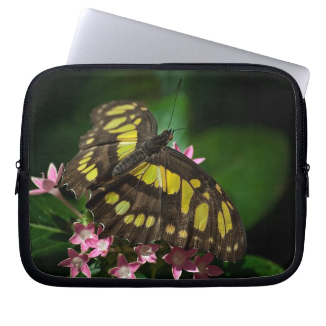 美しいインスターズラップトップスリーブ ラップトップスリーブ (正面)