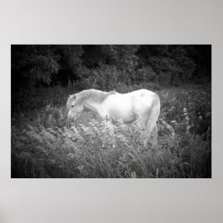 美しいイン白黒 ポスター