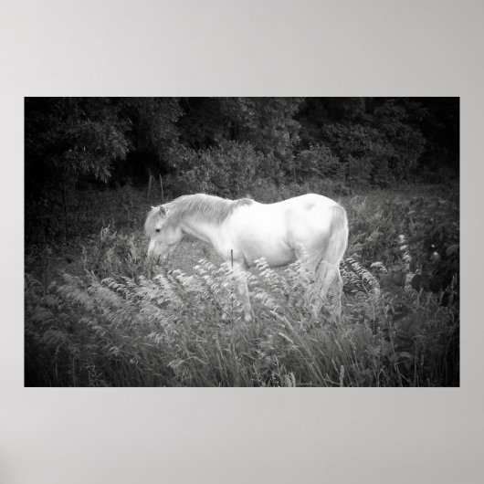 美しいイン白黒 ポスター (正面)