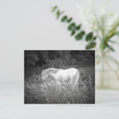 美しいイン白黒 ポストカード (スタンド正面)