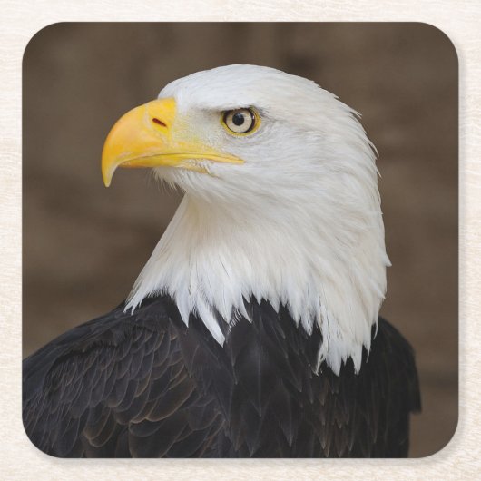 美しいイーグルコースターセット スクエアペーパーコースター (正面)