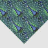 美しいウェディングパーティーピーコックティッシュペーパー 薄葉紙 (詳細)