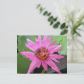 美しいウォーターリリーの移動のお知らせ ポストカード (スタンド正面)