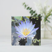 美しいウォーターリリー写真の空の反射 カード (スタンド正面)