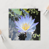 美しいウォーターリリー写真の空の反射 カード (正面/裏面インサイチュ)