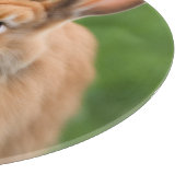 美しいウサギ カッティングボード (角)