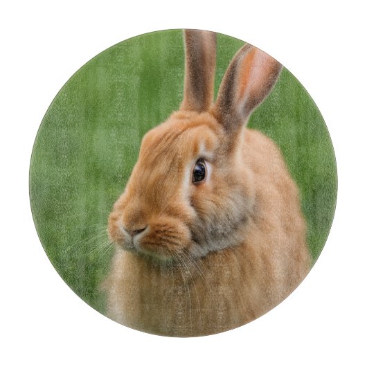 美しいウサギ カッティングボード (正面)