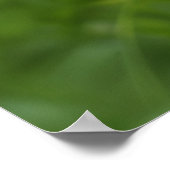 美しいウサギ ポスター (角)