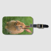 美しいウサギ ラゲッジタグ (正面横)