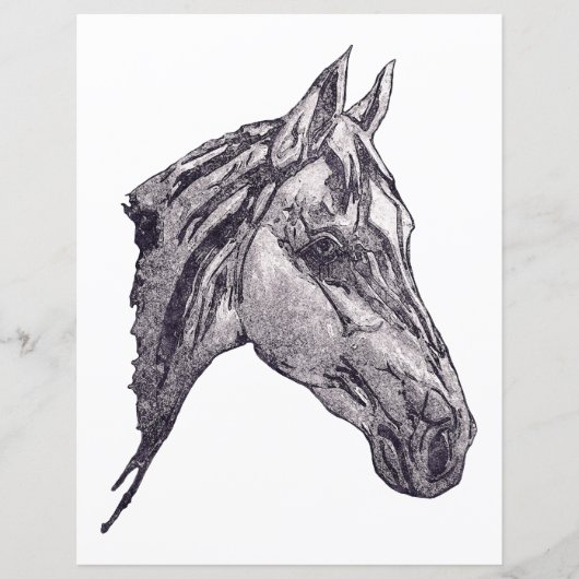 美しいウマ科の紙 (正面)