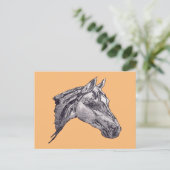 美しいウマ科の ポストカード (スタンド正面)