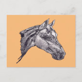 美しいウマ科の ポストカード (正面)