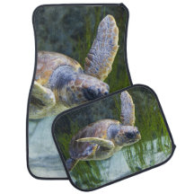 美しいウミガメ泳ぎ