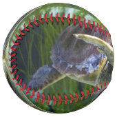 美しいウミガメ泳ぎ ソフトボール (正面左)