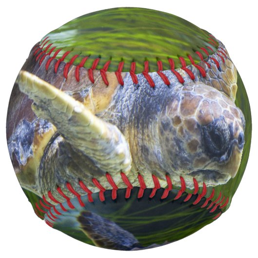 美しいウミガメ泳ぎ ソフトボール (正面)