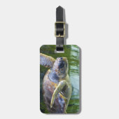 美しいウミガメ泳ぎ ラゲッジタグ (正面縦)